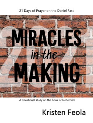 Miracles in the Making book