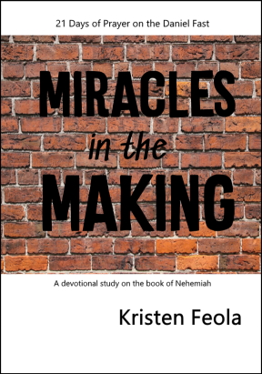 Miracles in the Making eBook