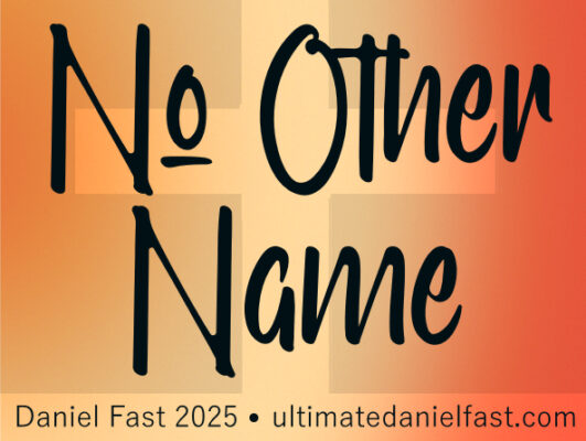 Daniel Fast 2025 No Other Name logo